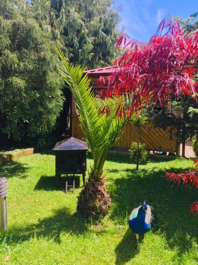 Vacation Home Nukri Gonio Exterior foto